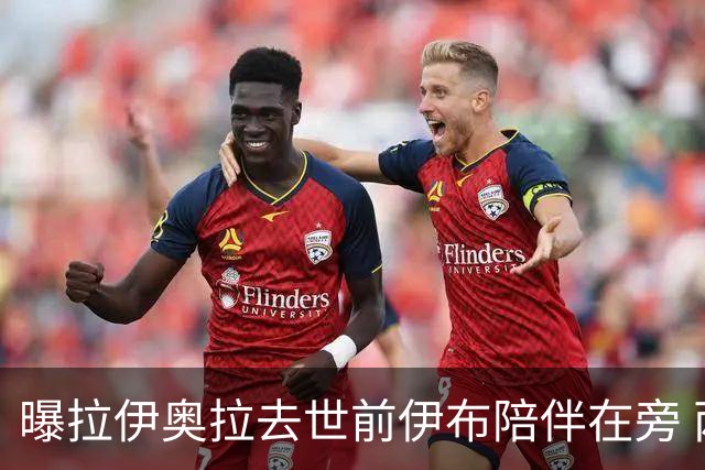 曝拉伊奥拉去世前伊布陪伴在旁 两人合作多年